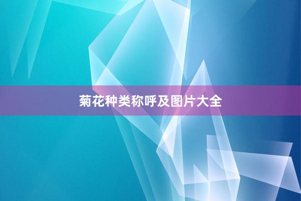 菊花种类称呼及图片大全