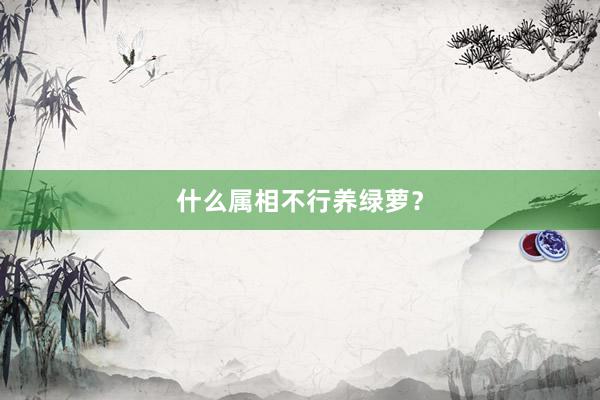 什么属相不行养绿萝？