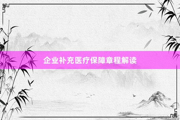 企业补充医疗保障章程解读