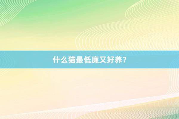 什么猫最低廉又好养?