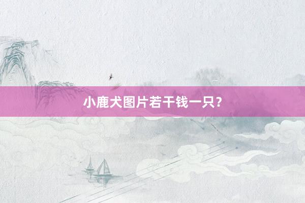 小鹿犬图片若干钱一只？