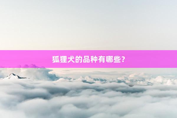 狐狸犬的品种有哪些？